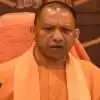 yogi