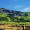 palghat