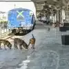 train